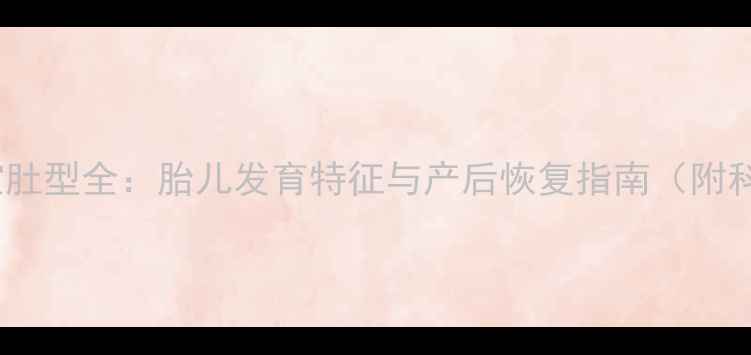 图片 孕期六个月男宝肚型全：胎儿发育特征与产后恢复指南（附科学护理方案）1