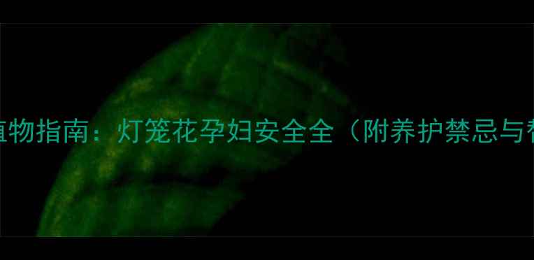 图片 孕期养护植物指南：灯笼花孕妇安全全（附养护禁忌与替代方案）