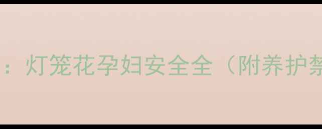 图片 孕期养护植物指南：灯笼花孕妇安全全（附养护禁忌与替代方案）2