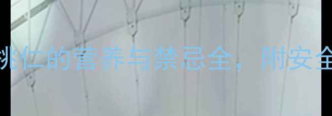 图片 孕期坚果怎么选？扁桃仁的营养与禁忌全，附安全食用指南（最新版）