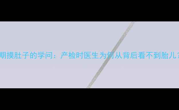 图片 孕期摸肚子的学问：产检时医生为何从背后看不到胎儿？1