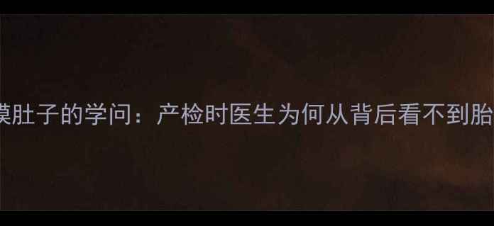 图片 孕期摸肚子的学问：产检时医生为何从背后看不到胎儿？2