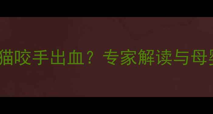 图片 孕期梦见被猫咬手出血？专家解读与母婴健康指南2
