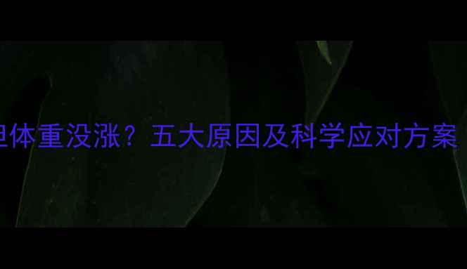 图片 孕期肚子显怀但体重没涨？五大原因及科学应对方案（附专家建议）