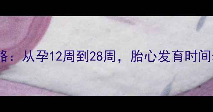 图片 孕期胎心监测全攻略：从孕12周到28周，胎心发育时间表与科学听诊指南2
