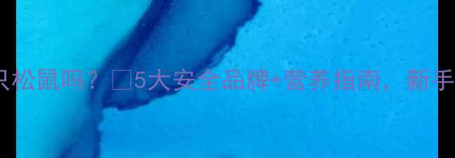 图片 孕期能吃三只松鼠吗？🌸5大安全品牌+营养指南，新手妈妈必看！2