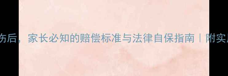 图片 孩子被车撞伤后，家长必知的赔偿标准与法律自保指南｜附实用维权流程2