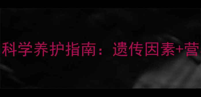图片 孩子长白头发科学养护指南：遗传因素+营养干预全攻略