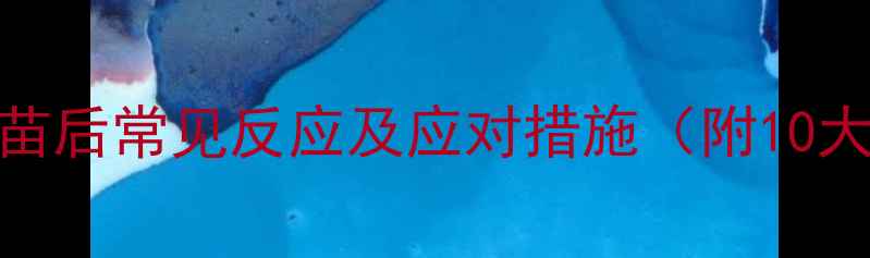 图片 宝宝接种疫苗后常见反应及应对措施（附10大注意事项）