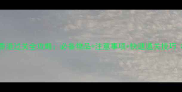 图片 带婴儿去香港过关全攻略：必备物品+注意事项+快速通关技巧（附清单）