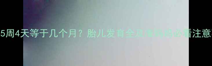 图片 怀孕15周4天等于几个月？胎儿发育全及准妈妈必看注意事项1