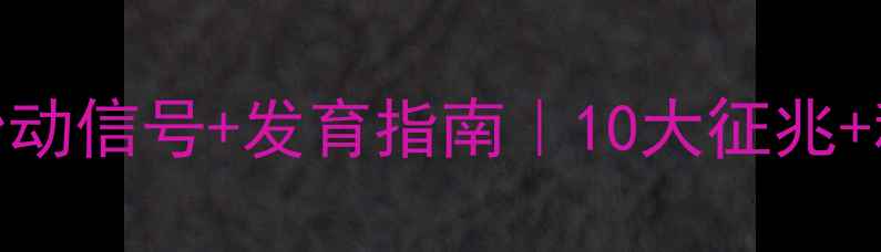 图片 怀孕2个月男孩胎动信号+发育指南｜10大征兆+科学备孕全攻略1