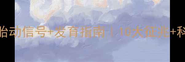 图片 怀孕2个月男孩胎动信号+发育指南｜10大征兆+科学备孕全攻略2