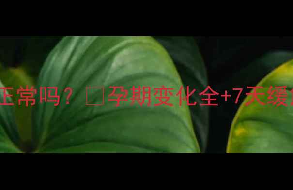 图片 怀孕4个月肚子下坠正常吗？🔥孕期变化全+7天缓解指南｜附产检清单