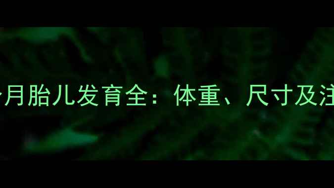 图片 怀孕五个月胎儿发育全：体重、尺寸及注意事项1