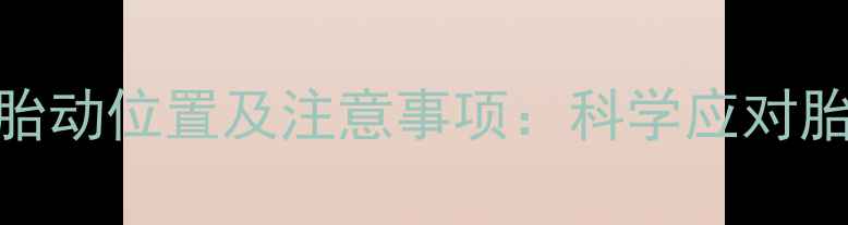 图片 怀孕六个月胎动位置及注意事项：科学应对胎儿活动指南