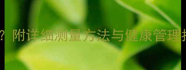 图片 怀孕六个月腰围多少？附详细测量方法与健康管理指南（附数据参考）2