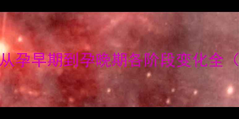 图片 怀孕显怀时间表：从孕早期到孕晚期各阶段变化全（附科学应对指南）