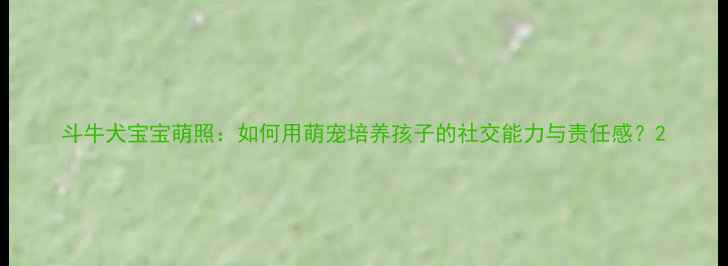 图片 斗牛犬宝宝萌照：如何用萌宠培养孩子的社交能力与责任感？2