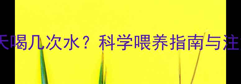 图片 新生儿每天喝几次水？科学喂养指南与注意事项全2