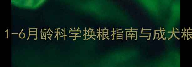图片 母婴科普泰迪幼犬喂养全攻略：1-6月龄科学换粮指南与成犬粮选购要点（附权威喂养方案）2