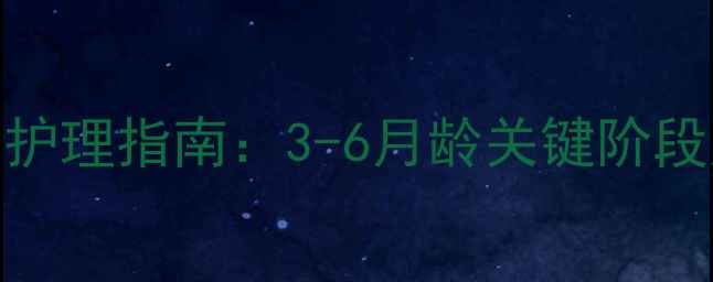 图片 泰迪尴尬期护理指南：3-6月龄关键阶段应对全攻略