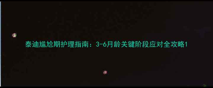 图片 泰迪尴尬期护理指南：3-6月龄关键阶段应对全攻略1