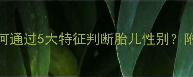 图片 科学指南一个月内如何通过5大特征判断胎儿性别？附医学依据与注意事项