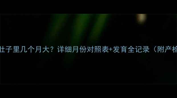 图片 胎儿在肚子里几个月大？详细月份对照表+发育全记录（附产检指南）