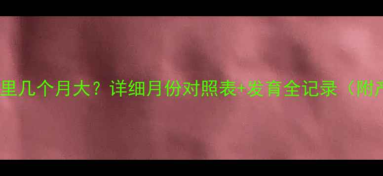 图片 胎儿在肚子里几个月大？详细月份对照表+发育全记录（附产检指南）1