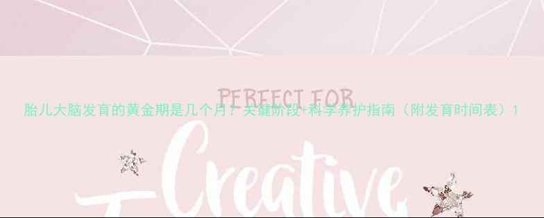 图片 胎儿大脑发育的黄金期是几个月？关键阶段+科学养护指南（附发育时间表）1