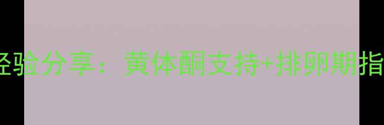 图片 补佳乐成功怀孕经验分享：黄体酮支持+排卵期指导的备孕全攻略1