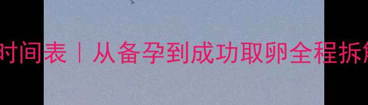 图片 试管婴儿全流程时间表｜从备孕到成功取卵全程拆解，附避坑指南2