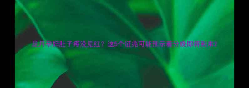 图片 足月孕妇肚子疼没见红？这5个征兆可能预示着分娩即将到来2