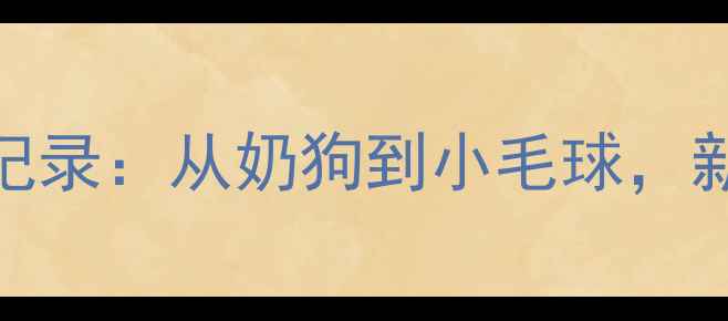 图片 金毛幼犬30天成长全记录：从奶狗到小毛球，新手家长必看发育指南
