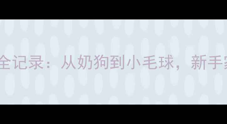 图片 金毛幼犬30天成长全记录：从奶狗到小毛球，新手家长必看发育指南1