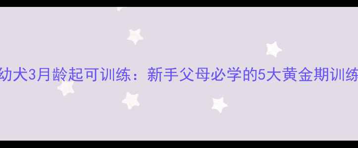 图片 金毛幼犬3月龄起可训练：新手父母必学的5大黄金期训练指南