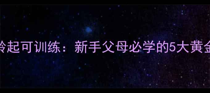 图片 金毛幼犬3月龄起可训练：新手父母必学的5大黄金期训练指南1
