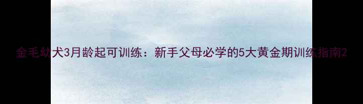 图片 金毛幼犬3月龄起可训练：新手父母必学的5大黄金期训练指南2