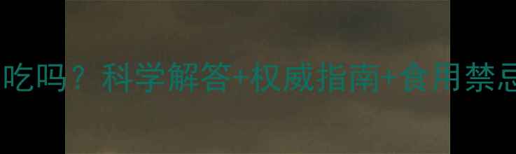 图片 银杏仁孕妇可以吃吗？科学解答+权威指南+食用禁忌，附食谱建议1