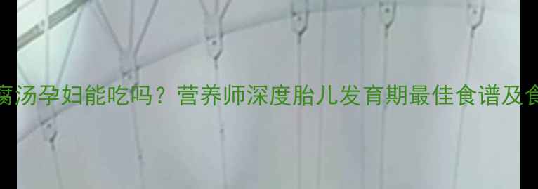 图片 黄鳝豆腐汤孕妇能吃吗？营养师深度胎儿发育期最佳食谱及食用指南