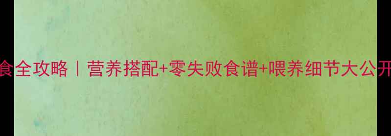 图片 🌟11个月宝宝辅食全攻略｜营养搭配+零失败食谱+喂养细节大公开！新手妈妈必看