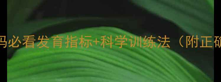 图片 🌟6个月宝宝不会坐？新手爸妈必看发育指标+科学训练法（附正确坐姿示范）｜儿科医生建议1