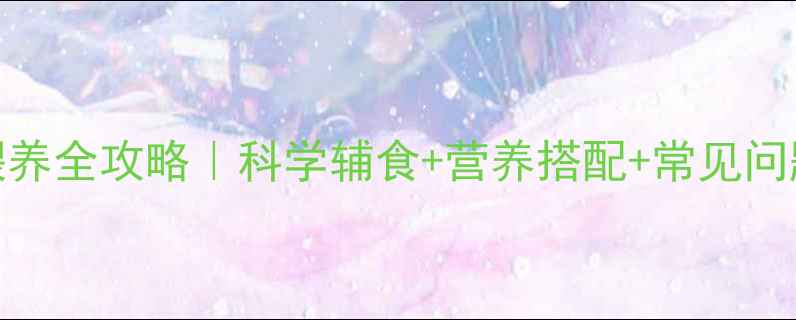 图片 🌟6个月宝宝喂养全攻略｜科学辅食+营养搭配+常见问题解答👶🍼💡1