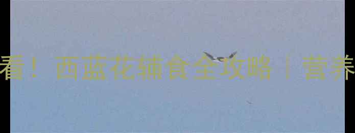 图片 🌟7个月宝宝辅食添加必看！西蓝花辅食全攻略｜营养+食谱+禁忌一篇说清🍼1