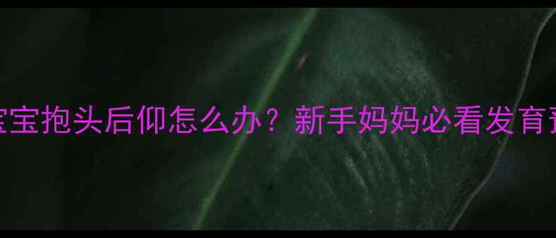 图片 🌟四个月宝宝抱头后仰怎么办？新手妈妈必看发育预警指南🌟