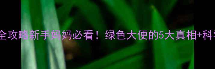 图片 🌟婴儿绿色便便全攻略新手妈妈必看！绿色大便的5大真相+科学应对指南👶💩2