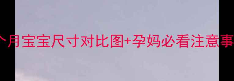 图片 🌟孕12周胎儿发育全｜3个月宝宝尺寸对比图+孕妈必看注意事项（附B超参考数据）🌟2