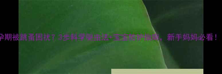 图片 🌟孕期被跳蚤困扰？3步科学驱虫法+宝宝防护指南，新手妈妈必看！🌟2