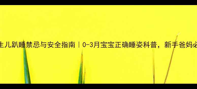 图片 🌟新生儿趴睡禁忌与安全指南｜0-3月宝宝正确睡姿科普，新手爸妈必看🌟